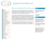 Tablet Screenshot of bankedtrack.info